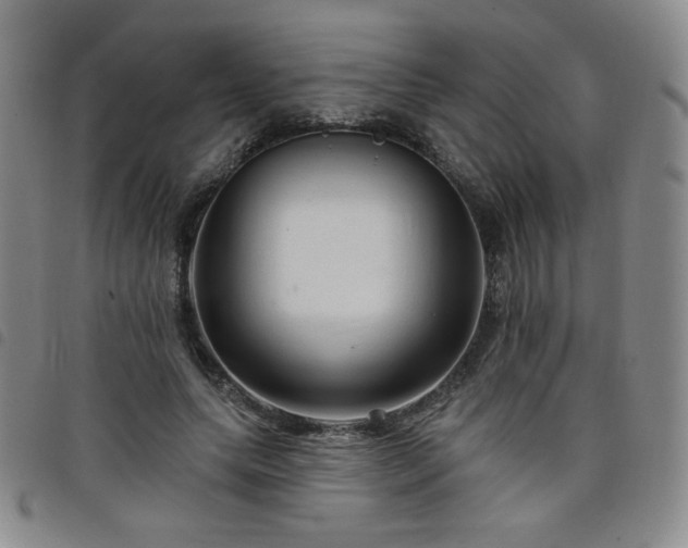 X0000098130639200804241651