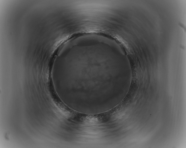 X0000098130640200804241651