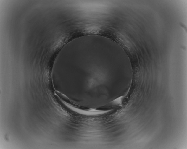 X0000098130641200804241651