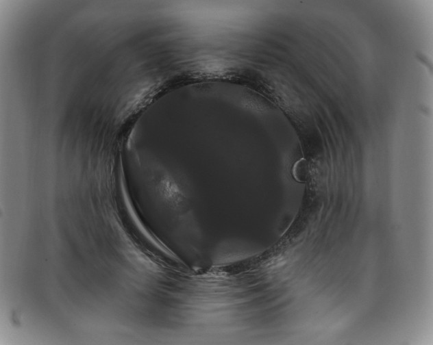 X0000098130642200804241651