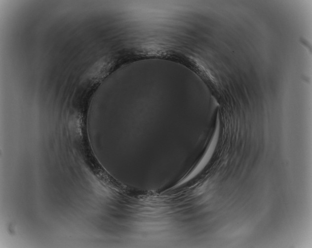 X0000098130643200804241651