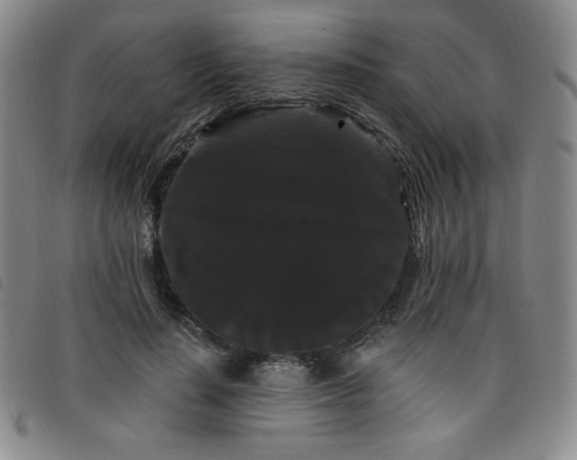 X0000098130644200804241651