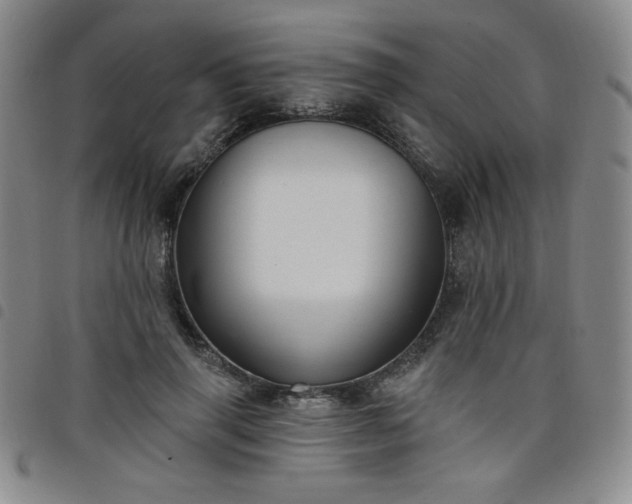 X0000098130645200804241651
