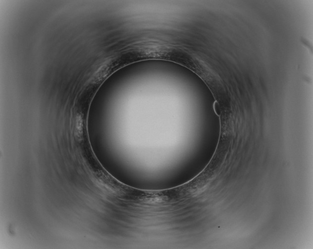 X0000098130646200804241651