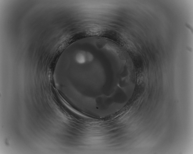 X0000098130647200804241651