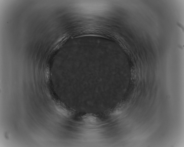 X0000098130648200804241651