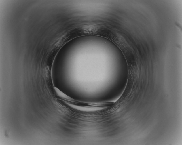 X0000098130649200804241651