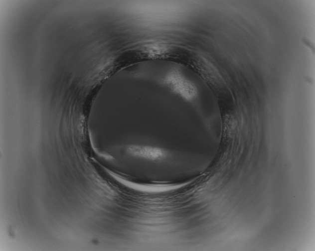 X0000098130650200804241651