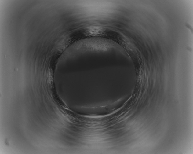 X0000098130651200804241651
