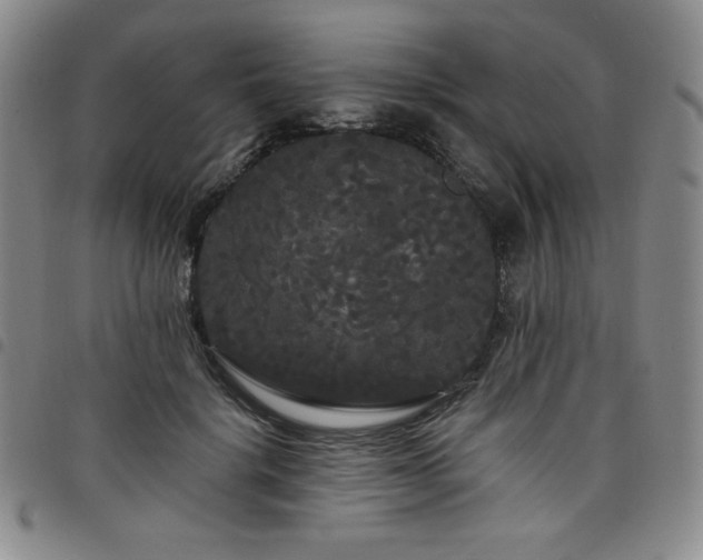X0000098130652200804241651