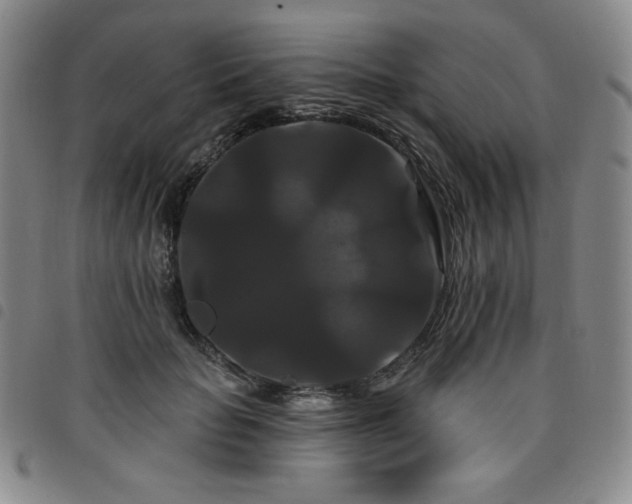 X0000098130653200804241651