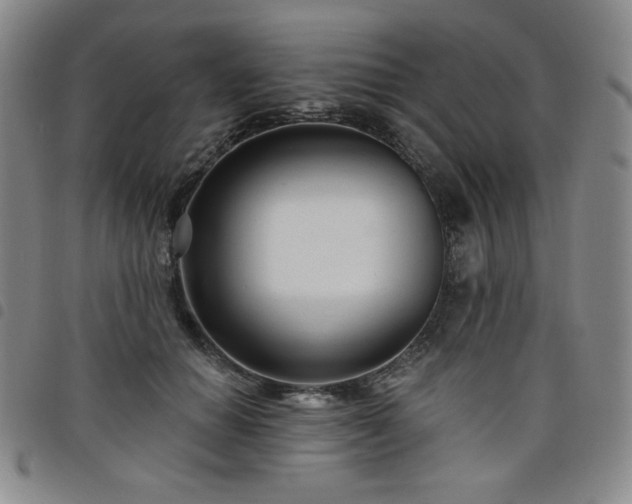 X0000098130654200804241651
