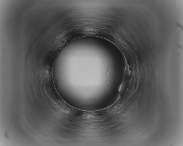 X0000098130655200804241651