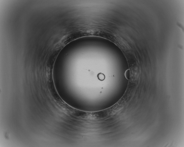 X0000098130656200804241651