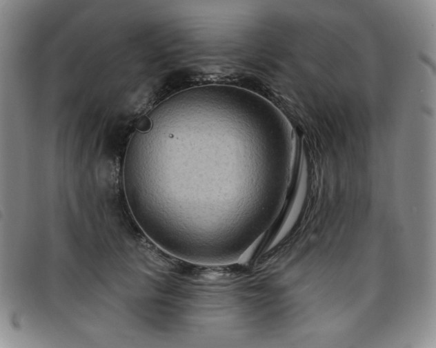 X0000098130657200804241651