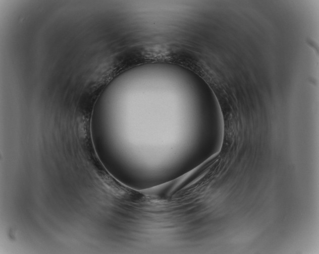 X0000098130658200804241651
