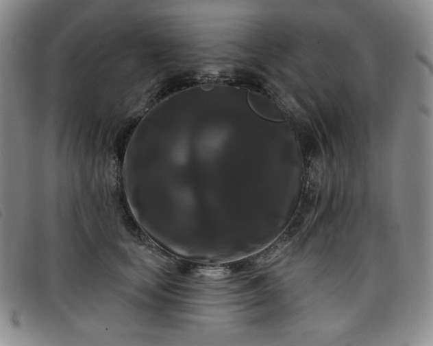 X0000098130659200804241651