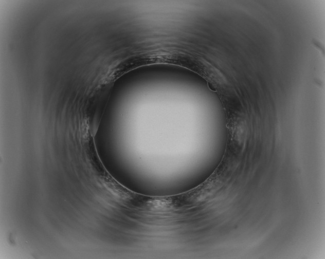 X0000098130660200804241651
