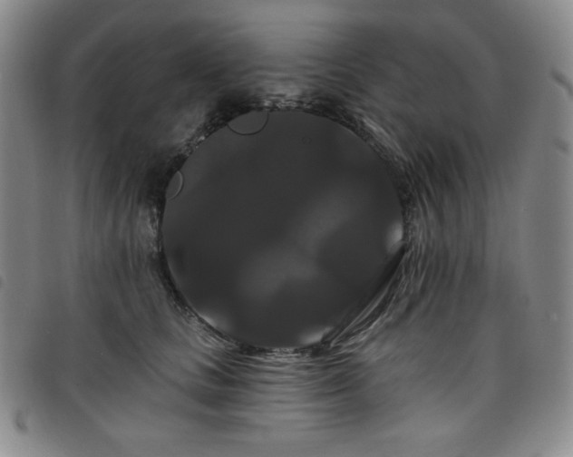 X0000098130661200804241651