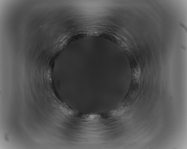 X0000098130663200804241651