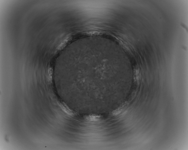 X0000098130664200804241651