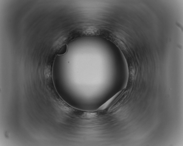 X0000098130665200804241651