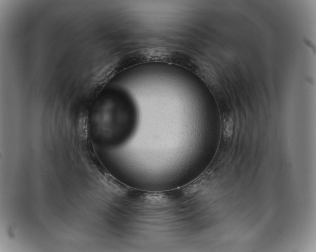 X0000098130666200804241651