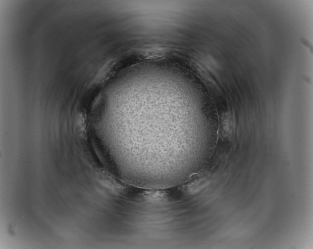 X0000098130667200804241651