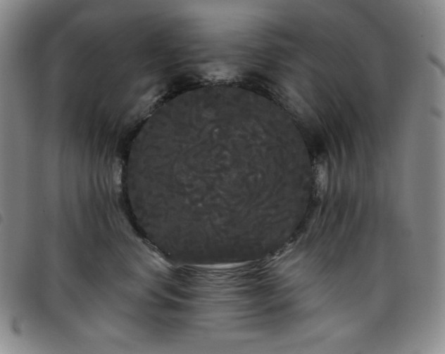 X0000098130668200804241651