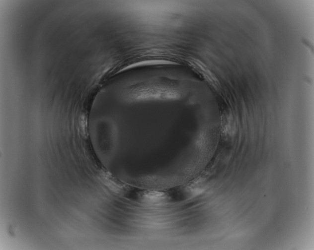X0000098130669200804241651