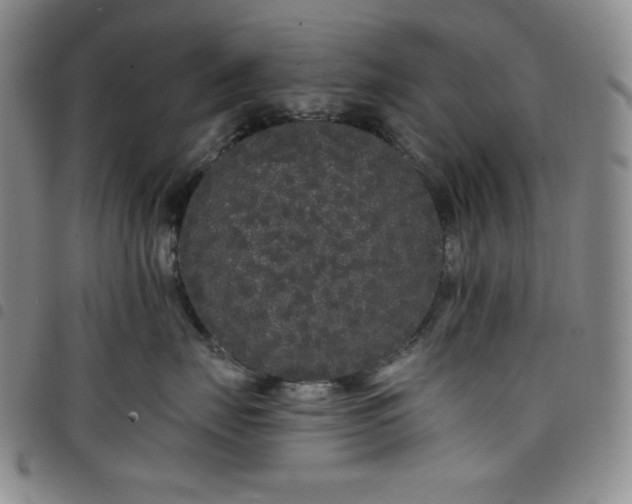 X0000098130671200804241651