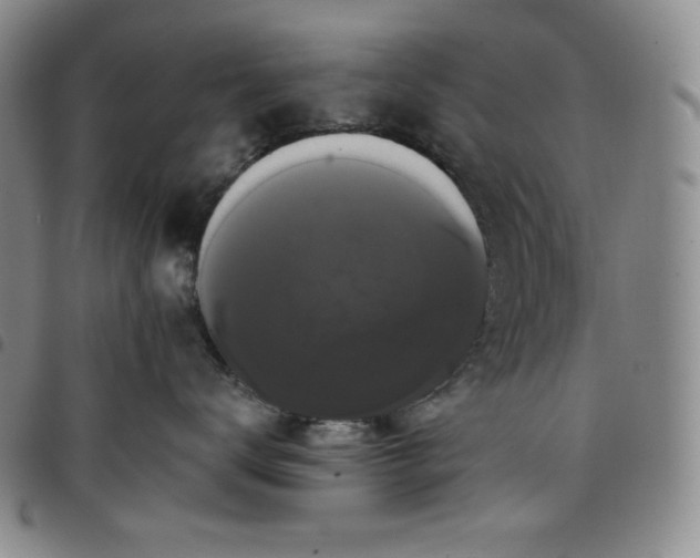 X0000098130672200804241651