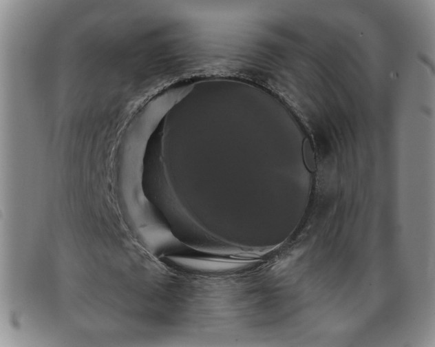 X0000098130673200804241650