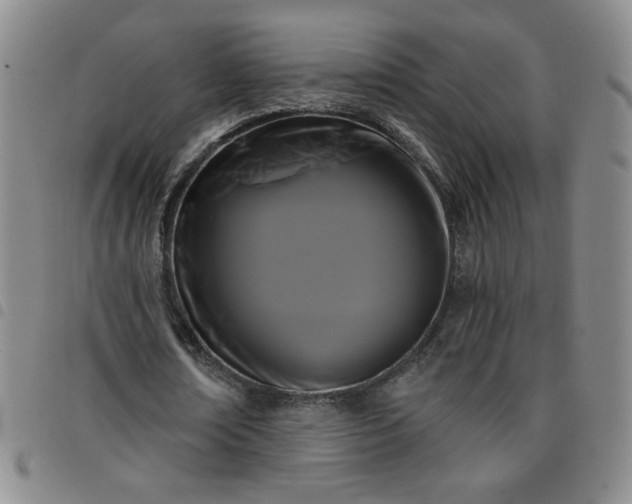 X0000098130674200804241650