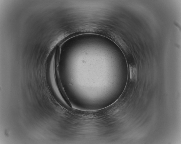 X0000098130675200804241650