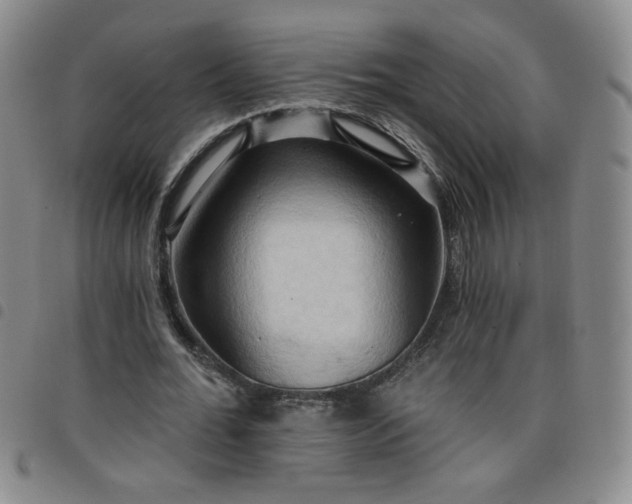 X0000098130676200804241650