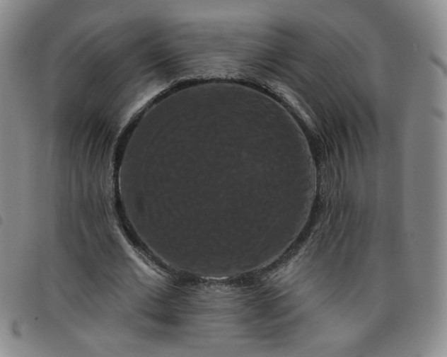 X0000098130677200804241650
