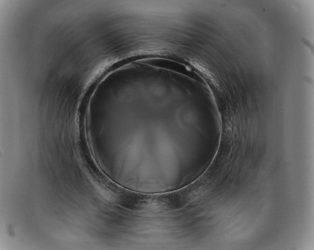 X0000098130678200804241650