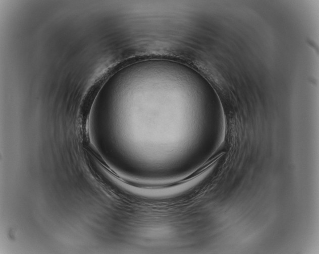 X0000098130680200804241650