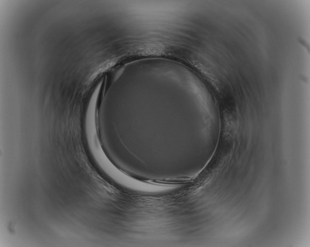 X0000098130681200804241650