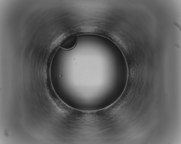 X0000098130682200804241650