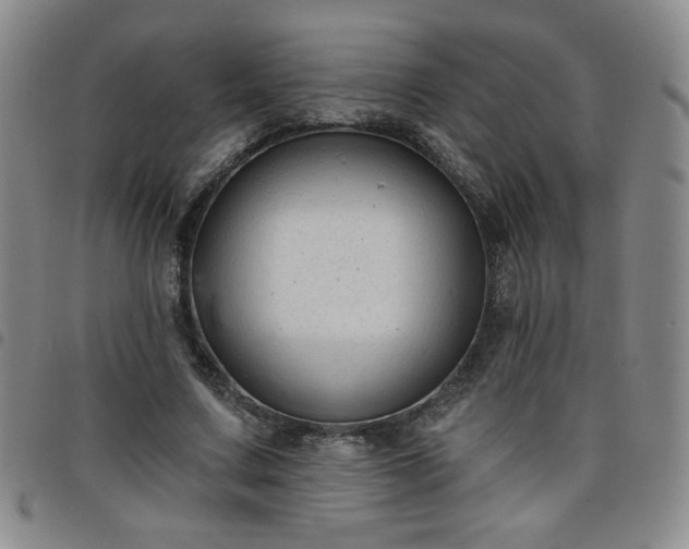 X0000098130683200804241650