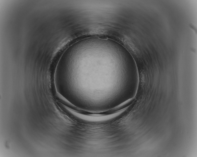X0000098130684200804241650