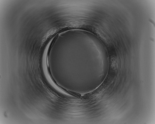 X0000098130685200804241650