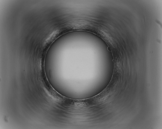 X0000098130686200804241650