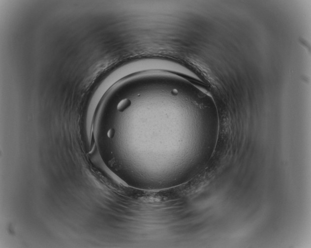 X0000098130687200804241650