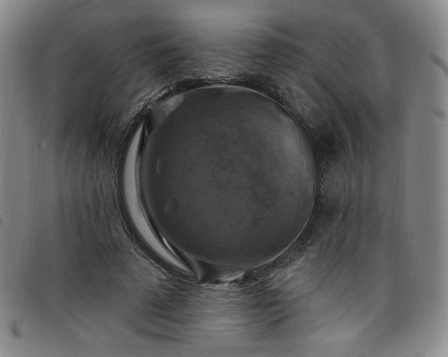X0000098130689200804241650