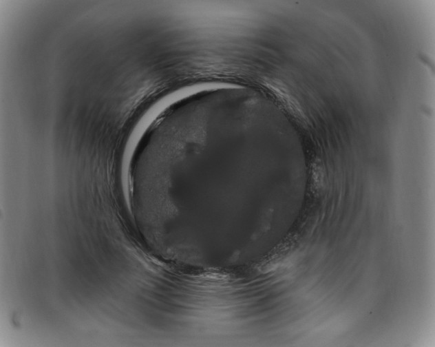 X0000098130691200804241650