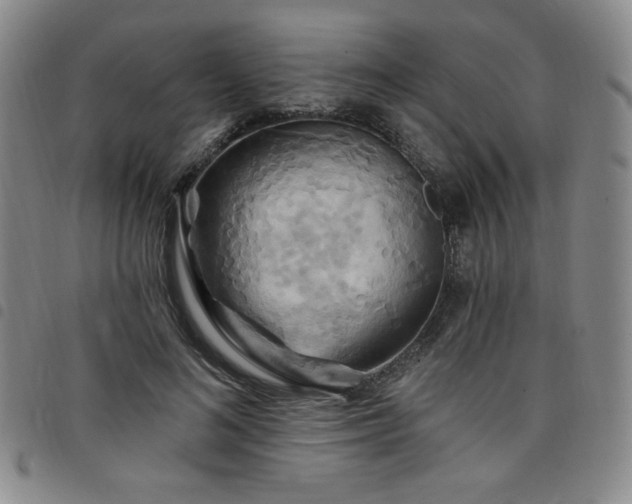 X0000098130692200804241650