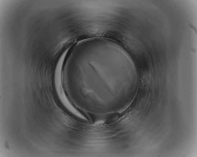 X0000098130693200804241650